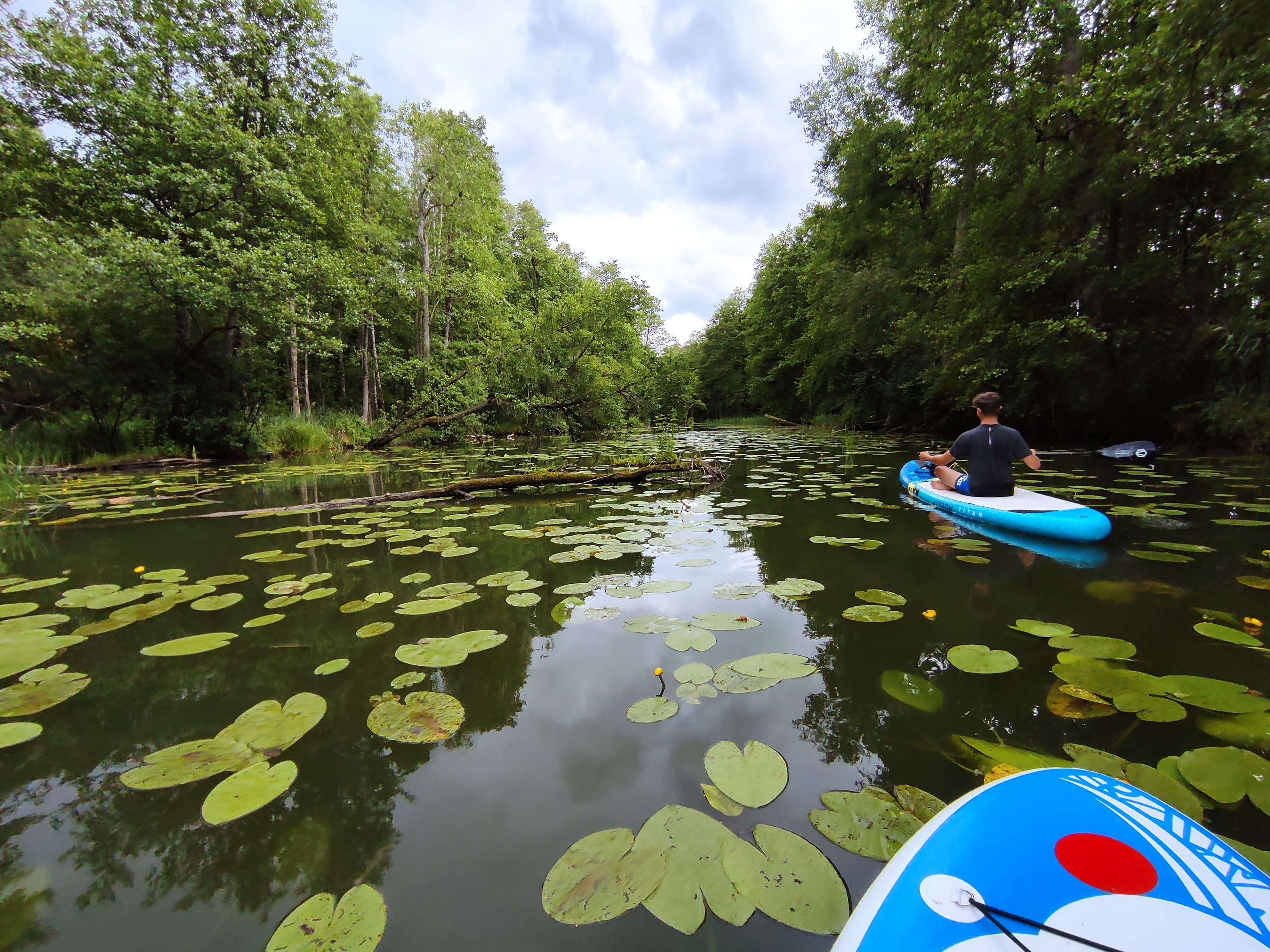Aktywności - Udogodnienia