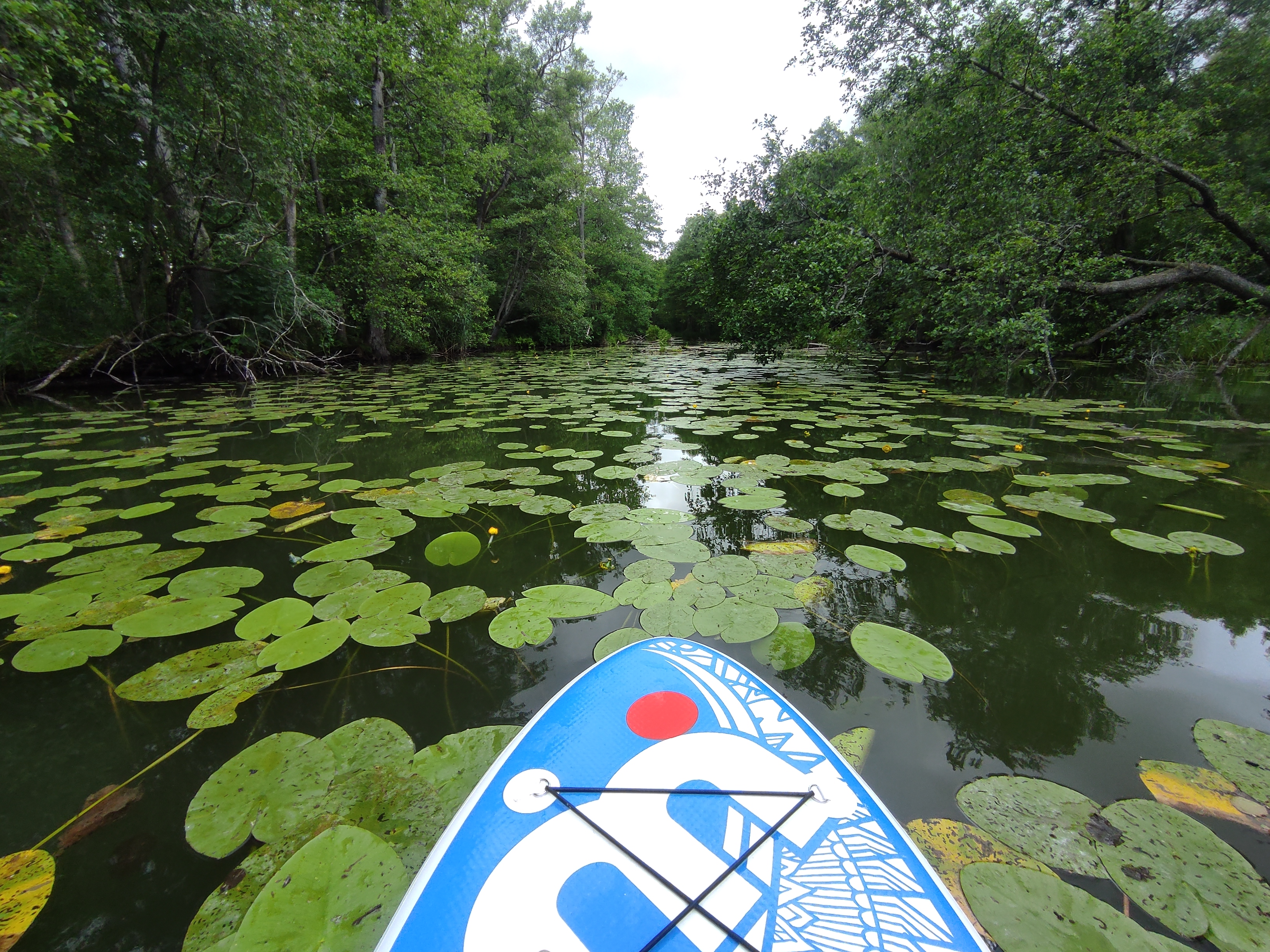 Aktywności - udogodnienia w domu na Mazurach